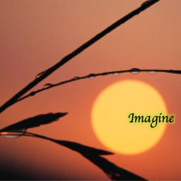 Meet your Posher, Marie - Picture 4 of 4